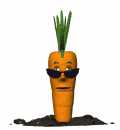 Speaking of Fresh Vegetables, has Anyone Noticed me?