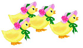 Chicks