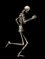 Skeleton Running