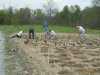 Lions WildFlower Planting