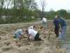 Lions WildFlower Planting
