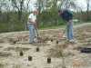 Lions WildFlower Planting