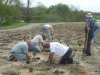 Lions WildFlower Planting
