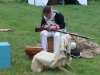 Military Encampment 2010