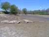 Silver Lake Dry 05-2010