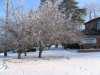 Silver Lake Winter
